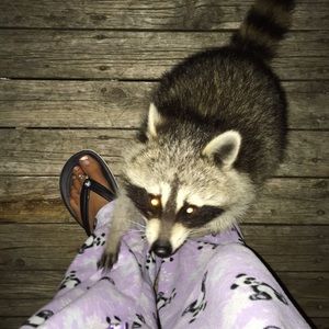 Meet your Posher, Melanie